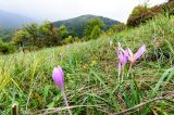 201309231410-AJS_7935.jpg